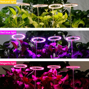 Светильник Angel Four Ring для выращивания растений, 5V USB, светодиодный светильник для рассады комнатных растений, Бытовой светильник для рассады цветов