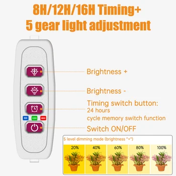 Светильник Angel Four Ring для выращивания растений, 5V USB, светодиодный светильник для рассады комнатных растений, Бытовой светильник для рассады цветов Изображение 2