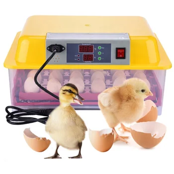 Высококачественный полноавтоматический мини-инкубатор на 24 яйца для куриных, перепелиных, утиных яиц