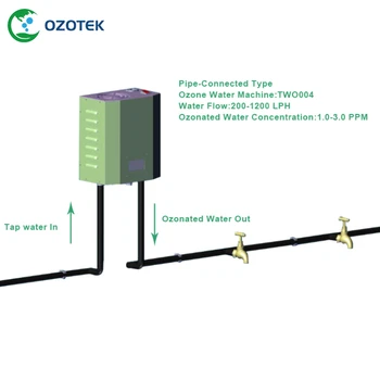 Ozotek Generatore di Ozono per Acqua Potabile TWO004 110 V/220 Opzionale 1.0-3.0 Ppm di Trasporto Libero
