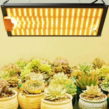QBS1000W Полный спектр 301B Чип светодиодный светильник для выращивания растений 1000 Вт Автономная доска Теплица Питомник суккулентных растений Заполняющий свет